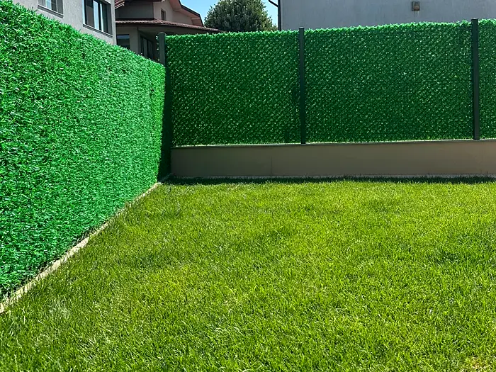 Curte împrejmuită cu gard cu iarbă